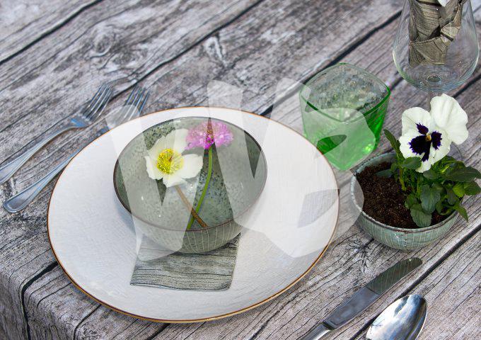 bloemen en planten vvbvanbree     1144